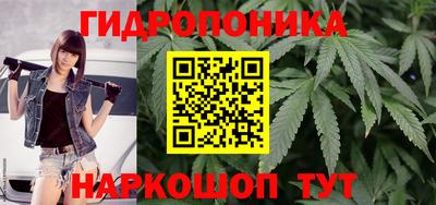 jwh Будённовск