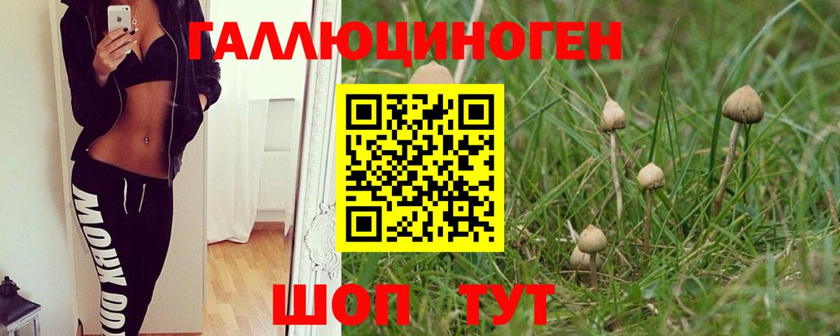Псилоцибиновые грибы мицелий Коммунар
